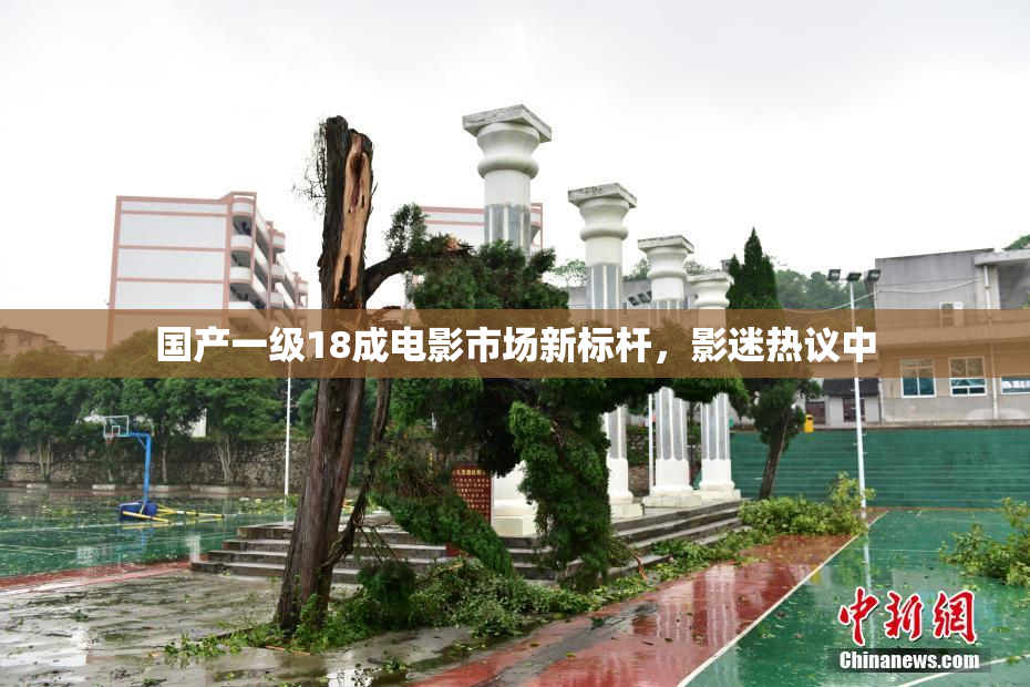 国产一级18成电影市场新标杆，影迷热议中