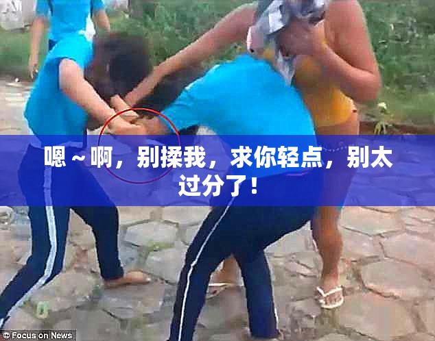 嗯～啊，别揉我，求你轻点，别太过分了！