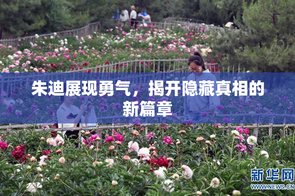 朱迪展现勇气，揭开隐藏真相的新篇章