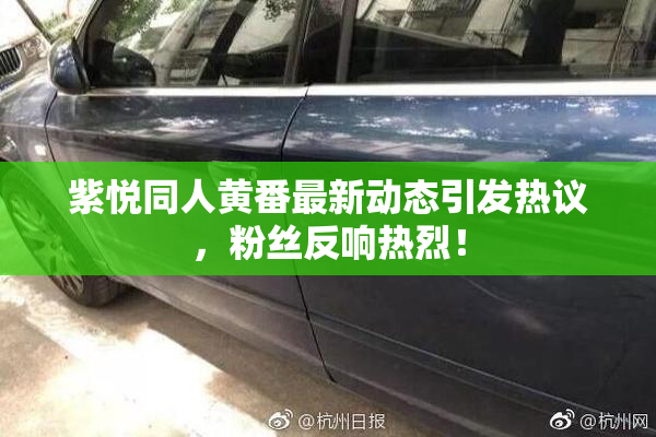 紫悦同人黄番最新动态引发热议，粉丝反响热烈！