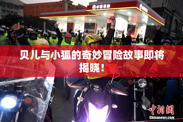 贝儿与小狐的奇妙冒险故事即将揭晓！