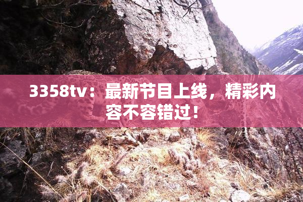 3358tv：最新节目上线，精彩内容不容错过！