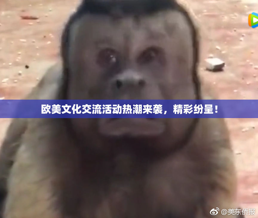 欧美文化交流活动热潮来袭，精彩纷呈！