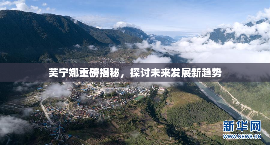 芙宁娜重磅揭秘，探讨未来发展新趋势