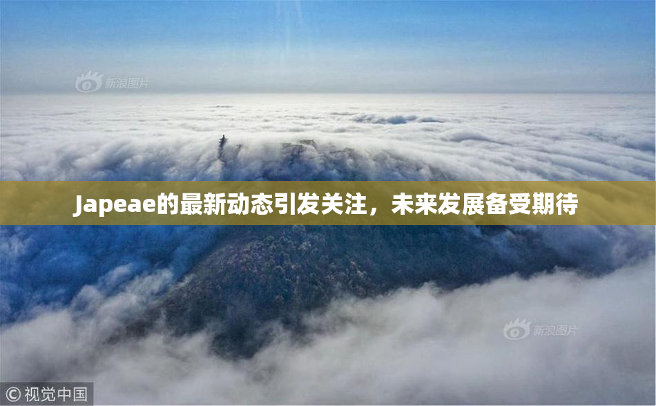 Japeae的最新动态引发关注，未来发展备受期待