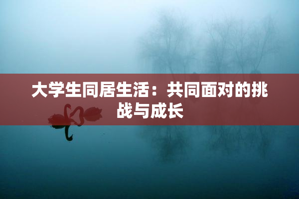 大学生同居生活：共同面对的挑战与成长