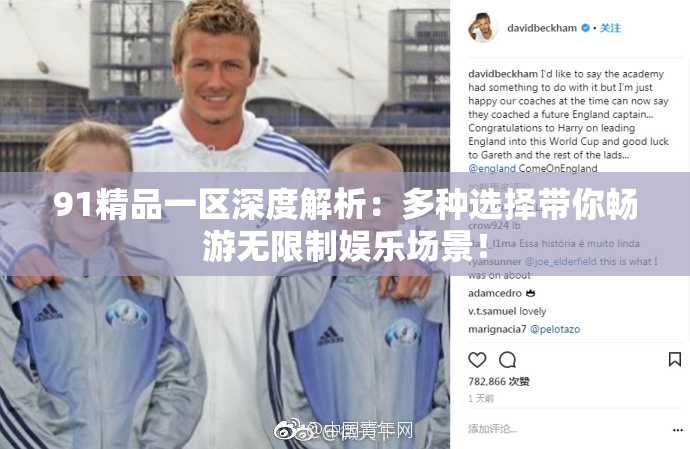 91精品一区深度解析：多种选择带你畅游无限制娱乐场景！