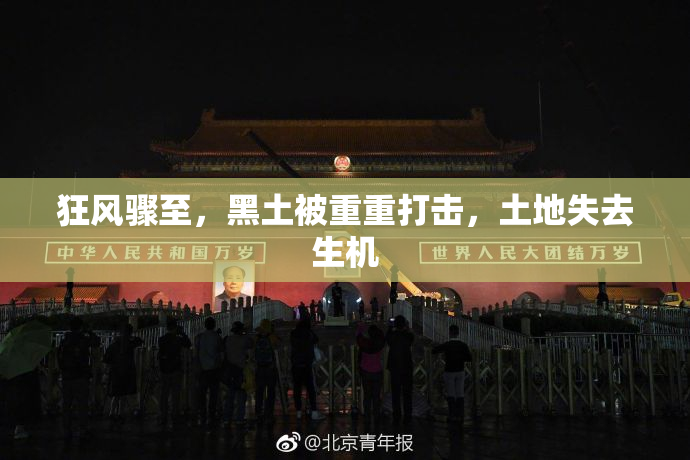 狂风骤至，黑土被重重打击，土地失去生机