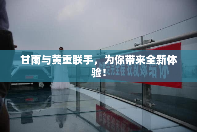 甘雨与黄重联手，为你带来全新体验！
