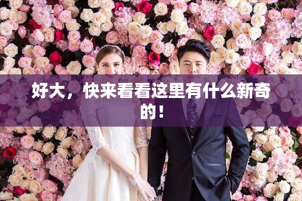 好大，快来看看这里有什么新奇的！
