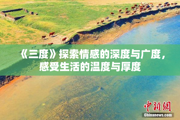 《三度》探索情感的深度与广度，感受生活的温度与厚度