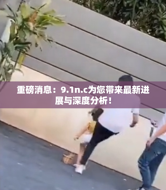 重磅消息：9.1n.c为您带来最新进展与深度分析！