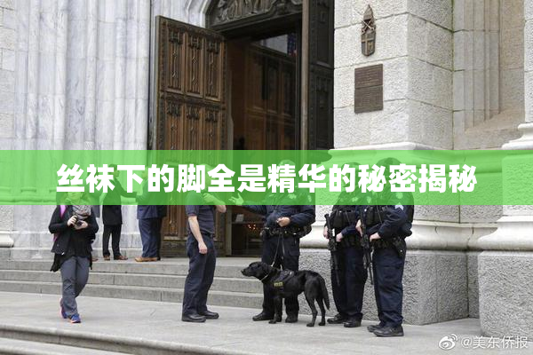 丝袜下的脚全是精华的秘密揭秘