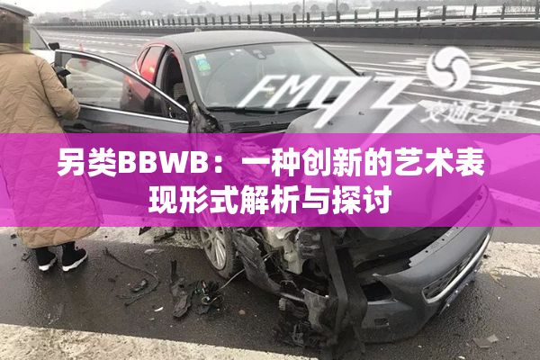 另类BBWB：一种创新的艺术表现形式解析与探讨