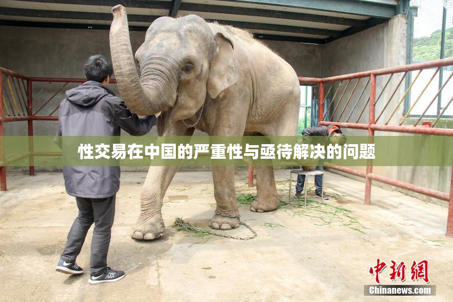 性交易在中国的严重性与亟待解决的问题