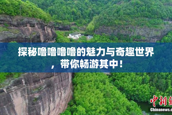 探秘噜噜噜噜的魅力与奇趣世界，带你畅游其中！