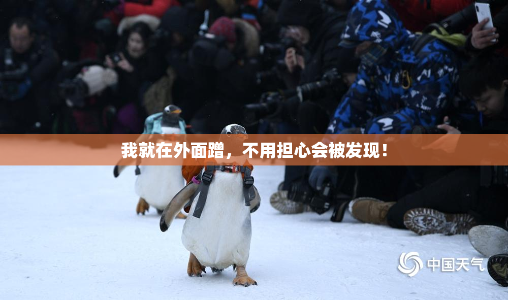 我就在外面蹭，不用担心会被发现！