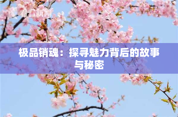 极品销魂：探寻魅力背后的故事与秘密