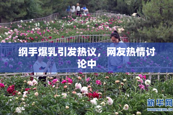 纲手爆乳引发热议，网友热情讨论中
