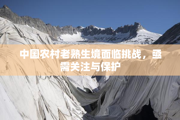 中国农村老熟生境面临挑战，亟需关注与保护