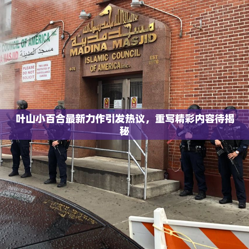 叶山小百合最新力作引发热议，重写精彩内容待揭秘