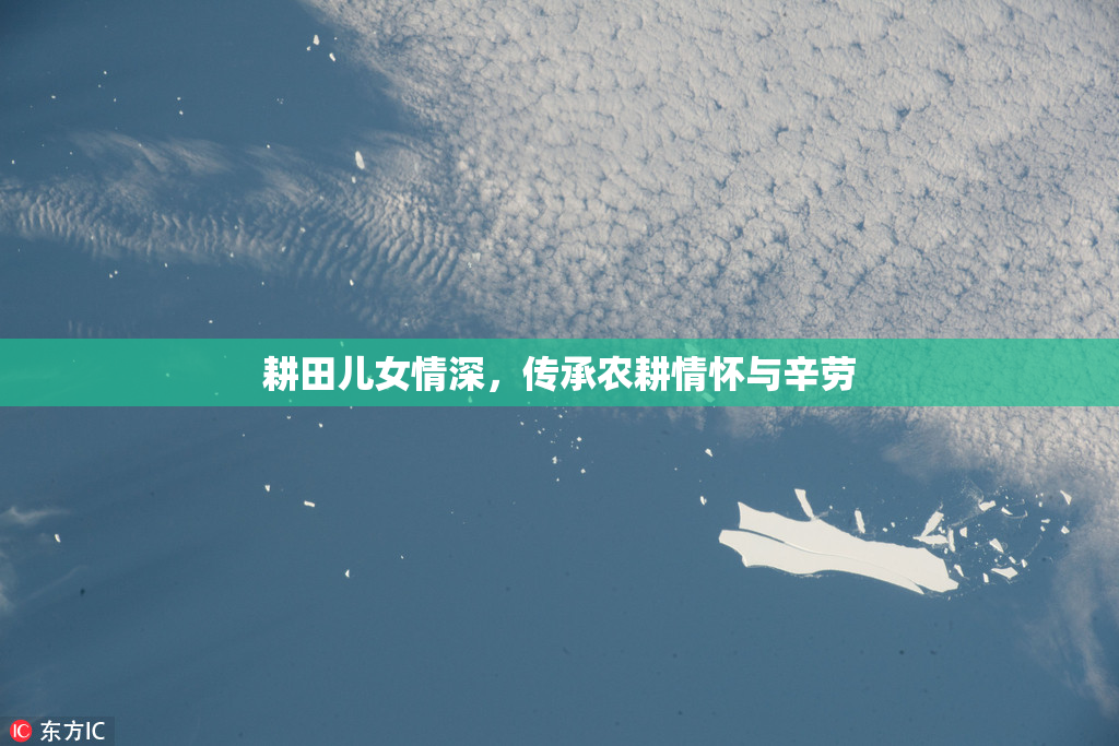 耕田儿女情深，传承农耕情怀与辛劳