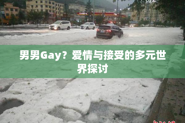 男男Gay？爱情与接受的多元世界探讨