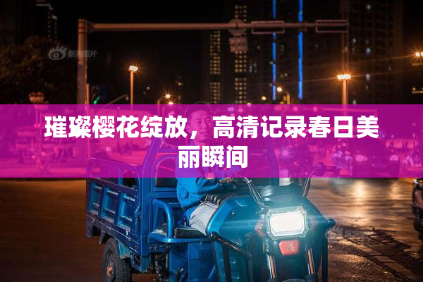 璀璨樱花绽放，高清记录春日美丽瞬间