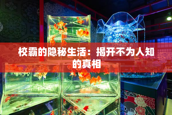 校霸的隐秘生活：揭开不为人知的真相