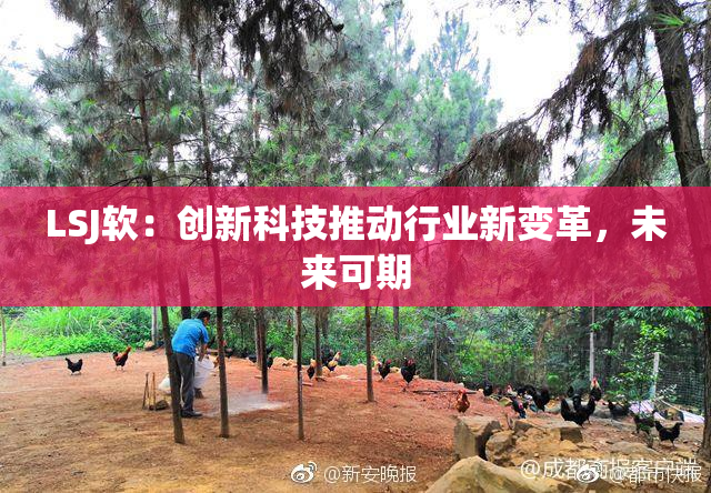 LSJ软：创新科技推动行业新变革，未来可期
