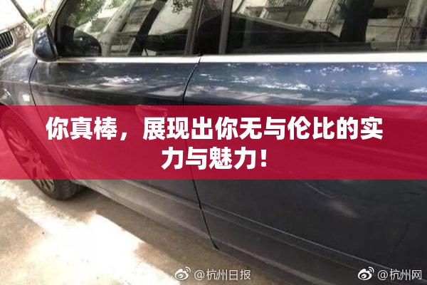 你真棒，展现出你无与伦比的实力与魅力！
