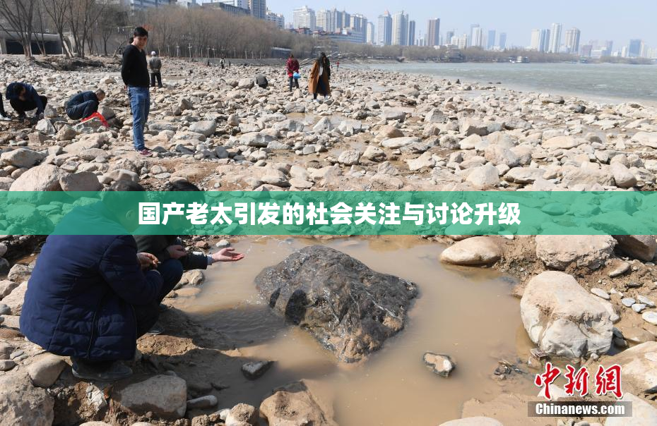 国产老太引发的社会关注与讨论升级
