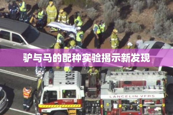 驴与马的配种实验揭示新发现