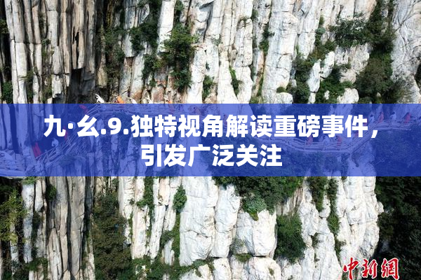 九·幺.9.独特视角解读重磅事件，引发广泛关注