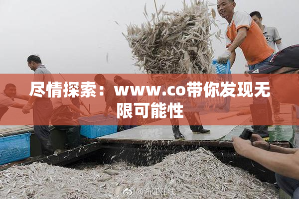 尽情探索：www.co带你发现无限可能性