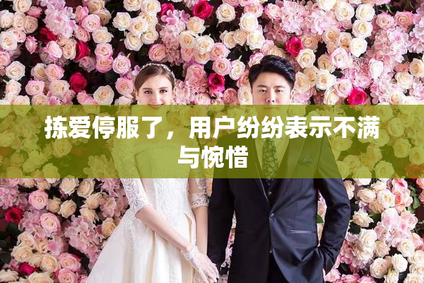 拣爱停服了，用户纷纷表示不满与惋惜