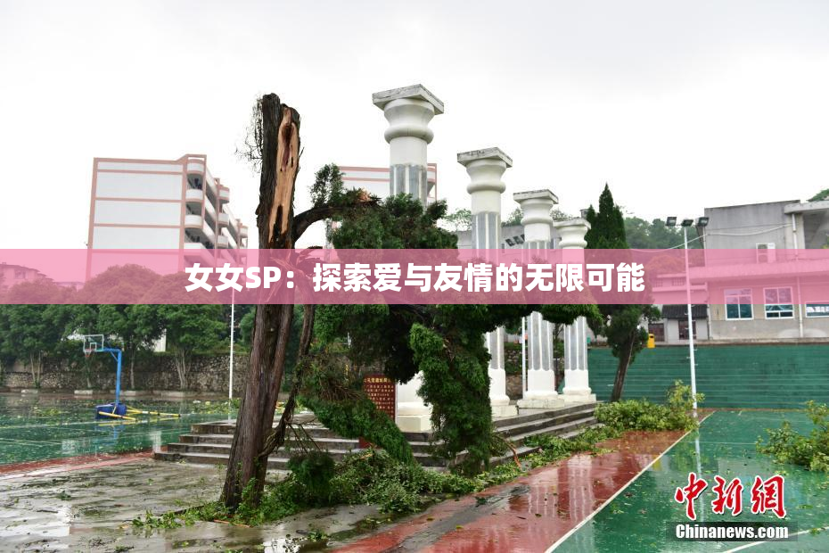 女女SP：探索爱与友情的无限可能