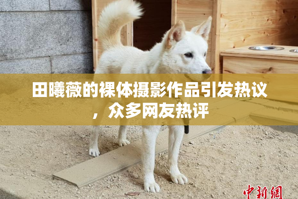 田曦薇的裸体摄影作品引发热议，众多网友热评