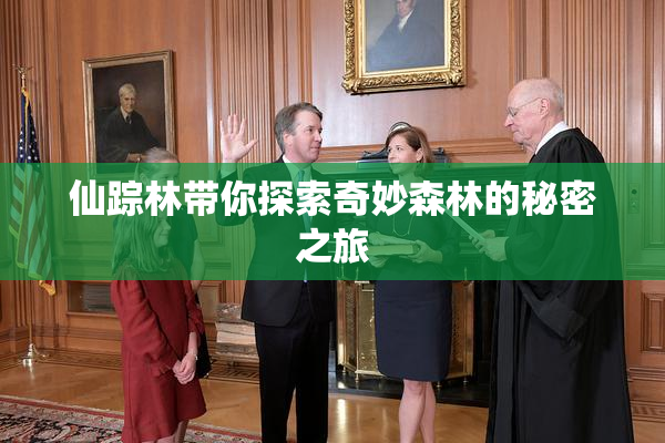 仙踪林带你探索奇妙森林的秘密之旅
