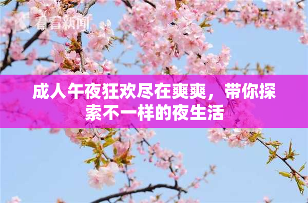 成人午夜狂欢尽在爽爽，带你探索不一样的夜生活