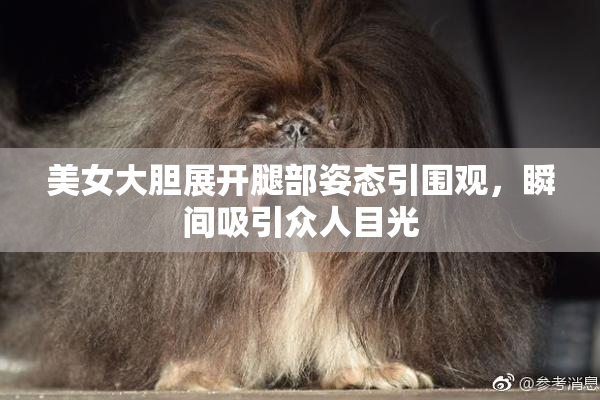 美女大胆展开腿部姿态引围观，瞬间吸引众人目光