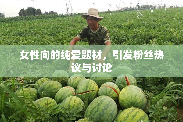 女性向的纯爱题材，引发粉丝热议与讨论