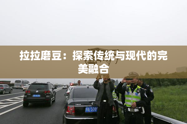 拉拉磨豆：探索传统与现代的完美融合