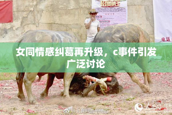 女同情感纠葛再升级，c事件引发广泛讨论