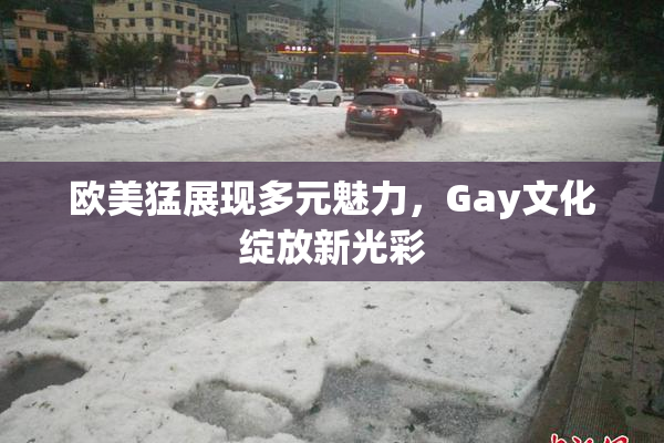 欧美猛展现多元魅力，Gay文化绽放新光彩