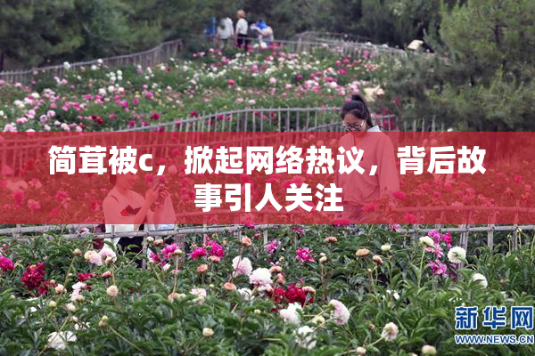 简茸被c，掀起网络热议，背后故事引人关注