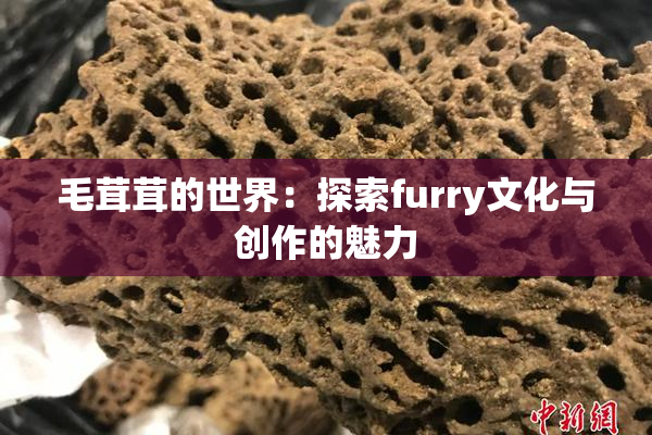 毛茸茸的世界：探索furry文化与创作的魅力