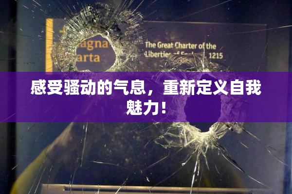 感受骚动的气息，重新定义自我魅力！