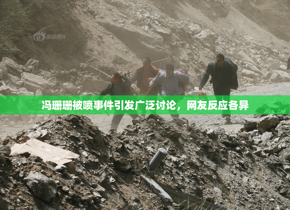 冯珊珊被喷事件引发广泛讨论，网友反应各异