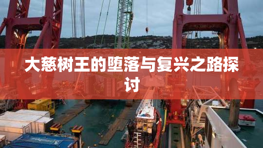 大慈树王的堕落与复兴之路探讨